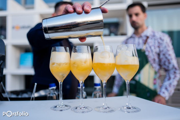 Portfolio Sustainable World 2025