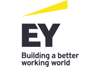Ernst & Young 2023